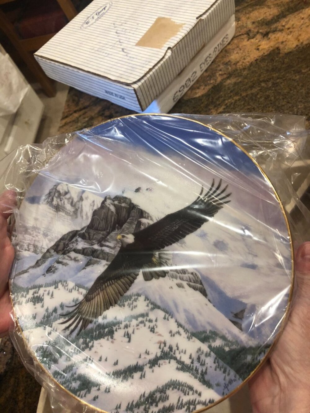 Hamilton Collection “The Eagle Soars” Plate – Thomas Hirata – Limited Edition